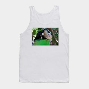 Costa Rica. Manuel Antonio NP.  White-faced capuchin monkey. Tank Top